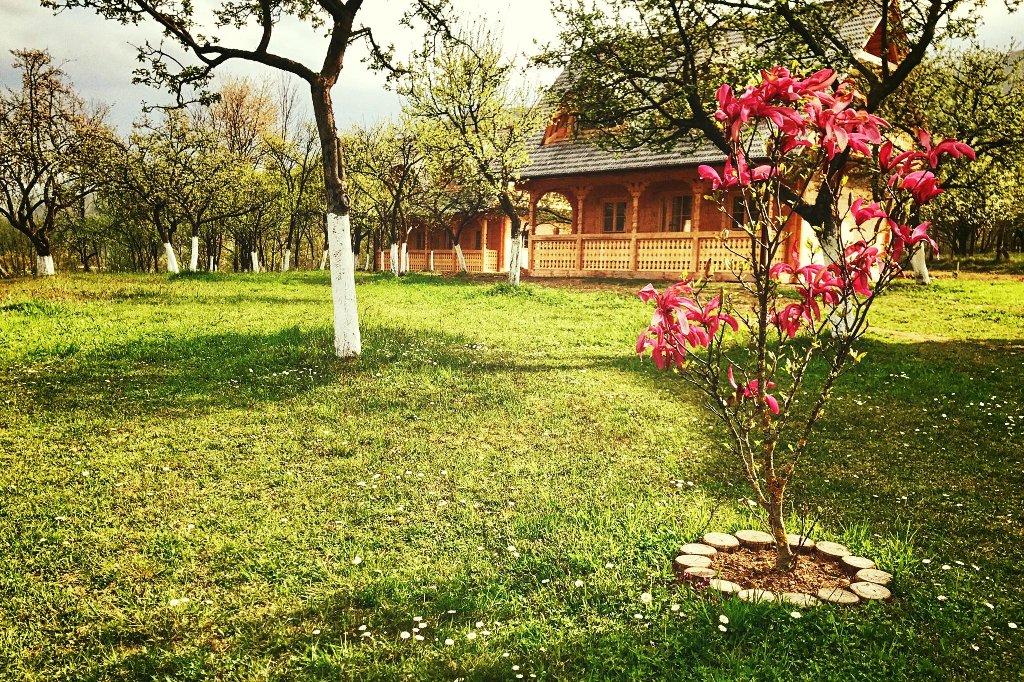 Magnolia Resort (viseu De Sus)